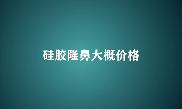 硅胶隆鼻大概价格