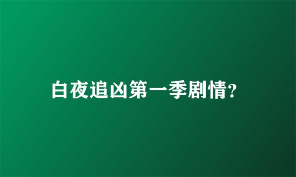 白夜追凶第一季剧情？