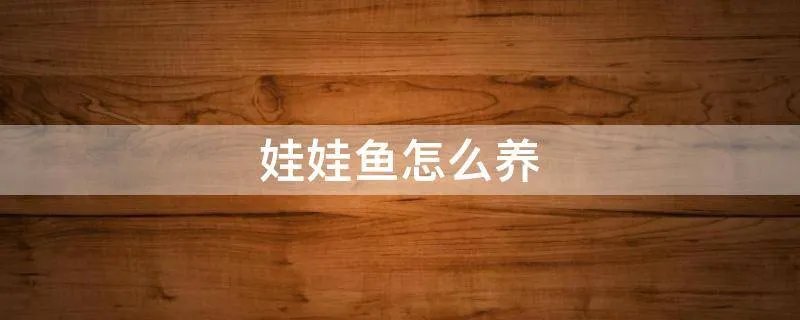 娃娃鱼怎么养