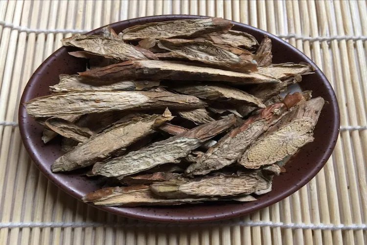 松根藤的图片