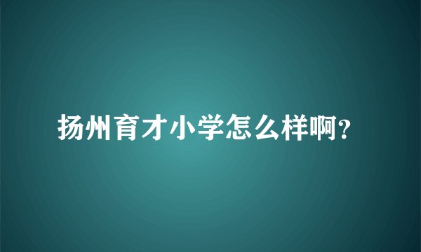 扬州育才小学怎么样啊？