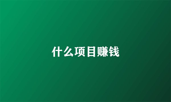 什么项目赚钱