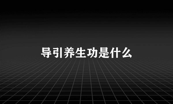 导引养生功是什么