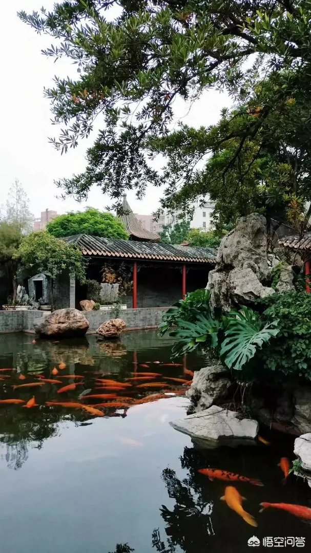 广东顺德清晖园好玩吗?