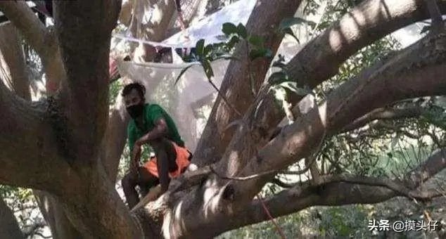 如何看待印度村民因没有自己单独房间住树上隔离?