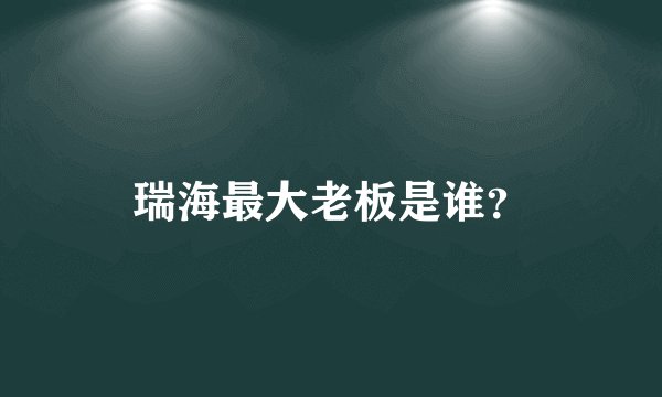瑞海最大老板是谁？