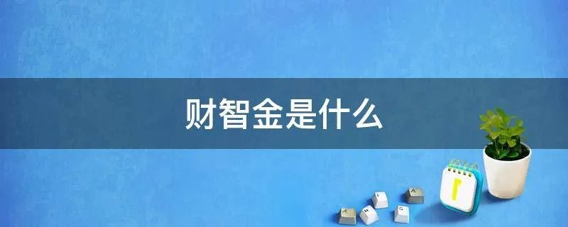 财智金是什么