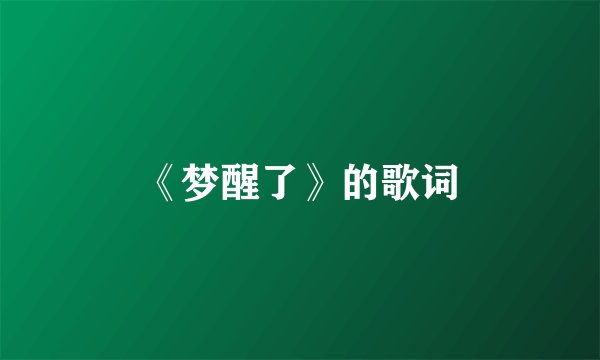 《梦醒了》的歌词