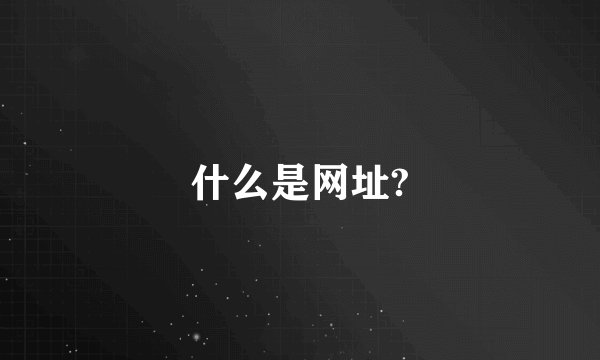 什么是网址?