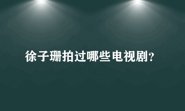 徐子珊拍过哪些电视剧？