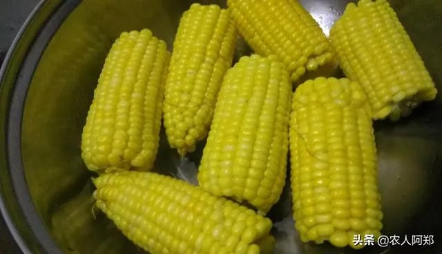 中国哪里玉米最好?
