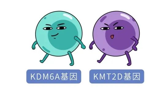 长得太漂亮也是病?歌舞伎面谱综合征,一种美得像洋娃娃的遗传病