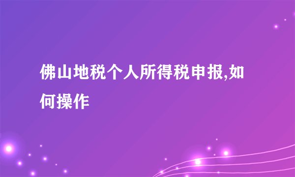 佛山地税个人所得税申报,如何操作