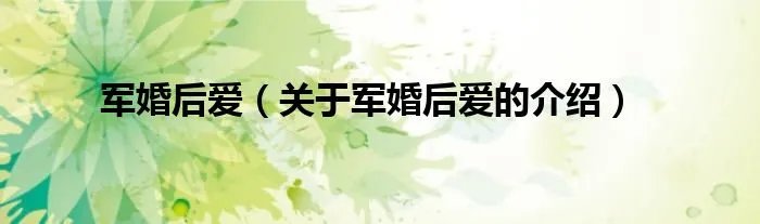 军婚后爱（关于军婚后爱的介绍）