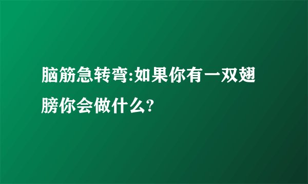 脑筋急转弯:如果你有一双翅膀你会做什么?