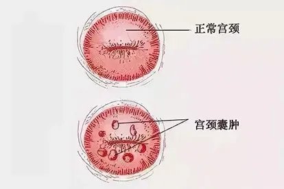 相关推荐
