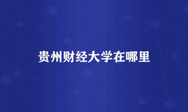 贵州财经大学在哪里