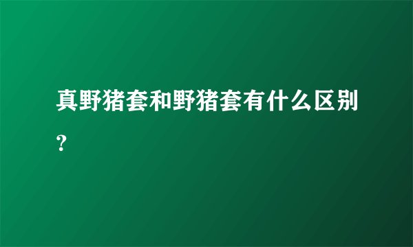 真野猪套和野猪套有什么区别？