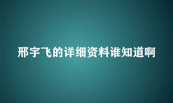 邢宇飞的详细资料谁知道啊