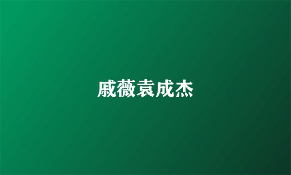 戚薇袁成杰