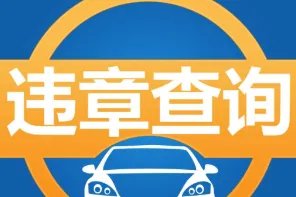 四川交警1212351查询在哪里