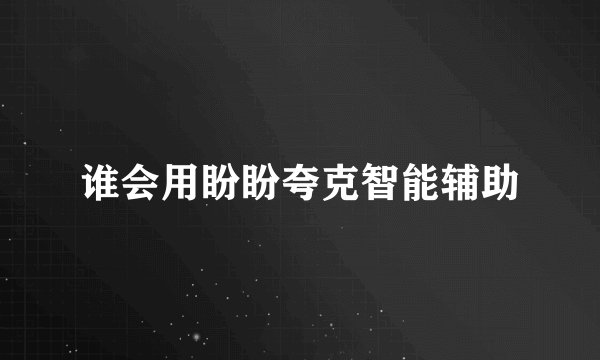 谁会用盼盼夸克智能辅助