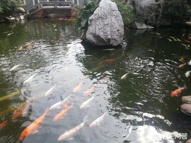 广东顺德清晖园好玩吗?