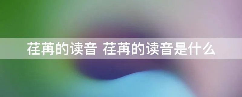 荏苒的读音 荏苒的读音是什么