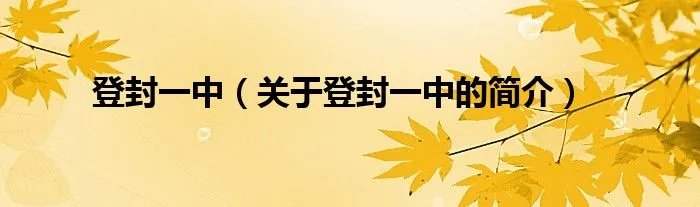 登封一中（关于登封一中的简介）