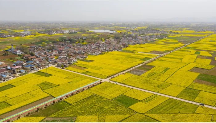 2022清明节放假安排时间表最新 2022清明节放假调休怎样安排