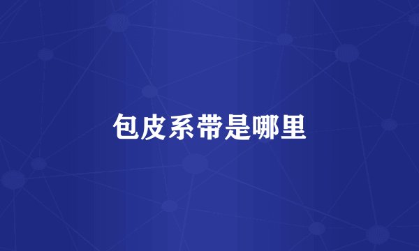 包皮系带是哪里