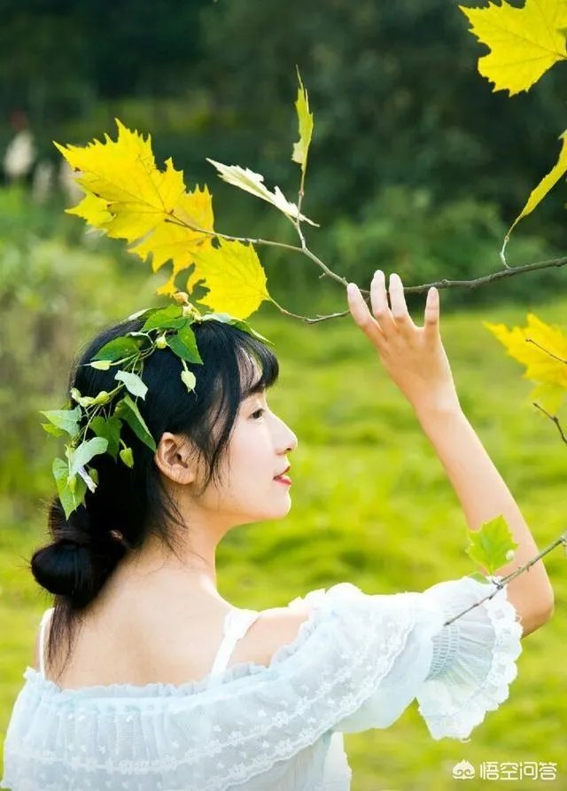 春花秋月何时了下一句是什么?
