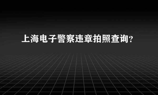 上海电子警察违章拍照查询？