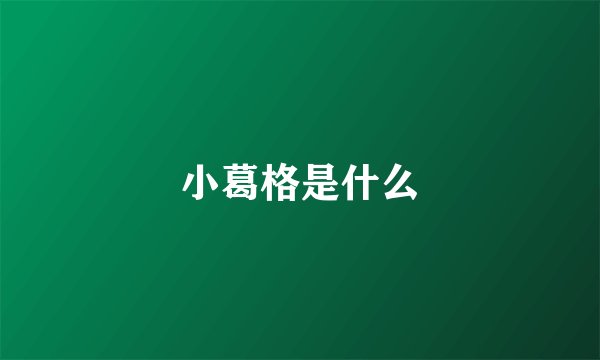 小葛格是什么