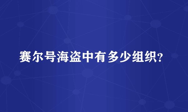 赛尔号海盗中有多少组织?
