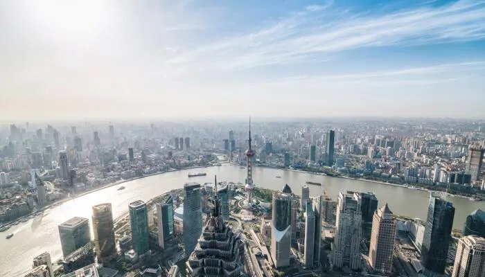 上海一柯基被打死主人发声是怎么回事 上海一柯基被打死主人发声说了什么