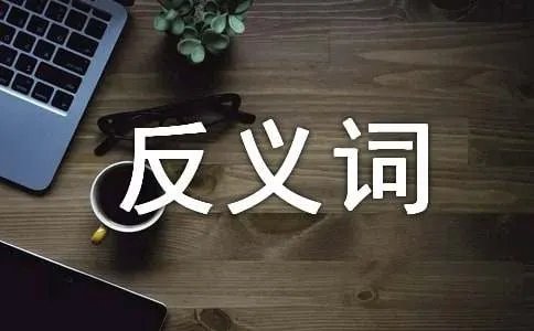 传统的反义词是什么