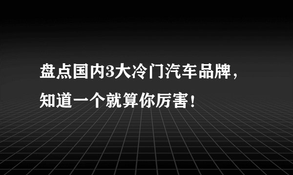 盘点国内3大冷门汽车品牌，知道一个就算你厉害！