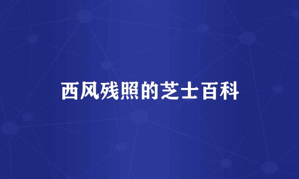 西风残照的芝士百科