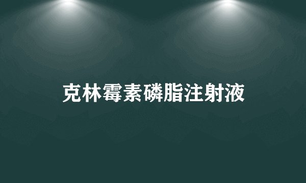克林霉素磷脂注射液