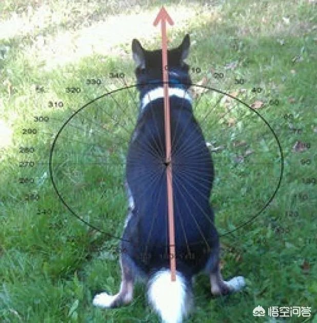 人类第六感首次被证实，你怎么看？