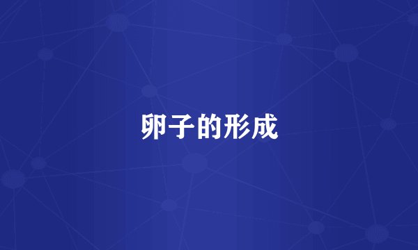 卵子的形成