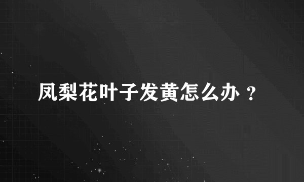 凤梨花叶子发黄怎么办 ？