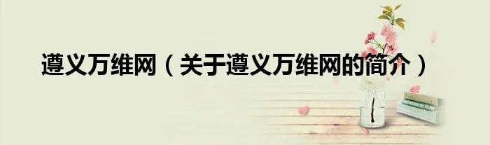 遵义万维网（关于遵义万维网的简介）