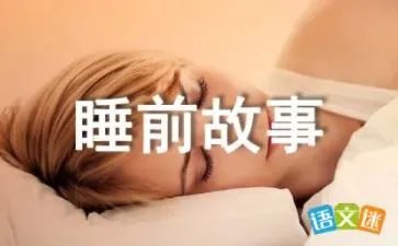 两只虫子