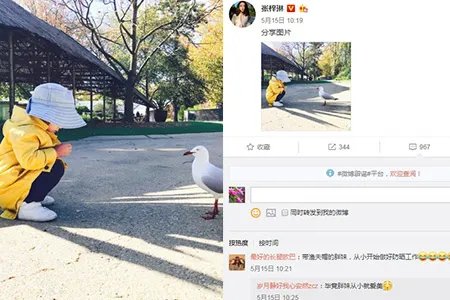 张梓琳携女庆生笑容甜美 晒女儿照片被粉丝围观