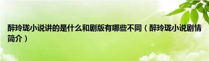 醉玲珑小说讲的是什么和剧版有哪些不同（醉玲珑小说剧情简介）