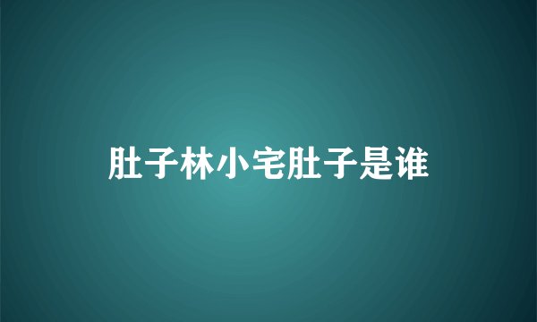 肚子林小宅肚子是谁