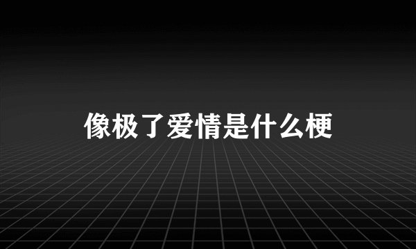 像极了爱情是什么梗