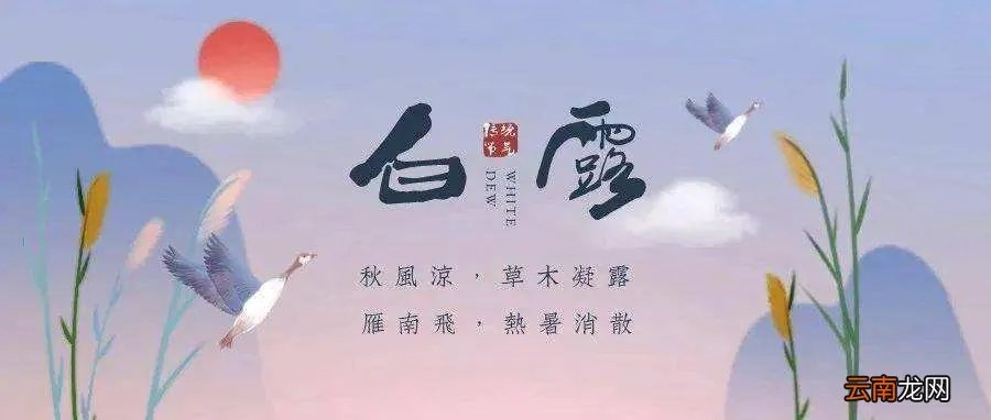 白露代表的寓意